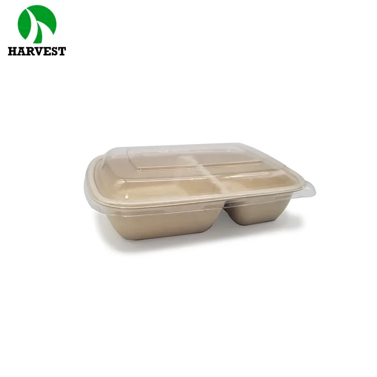 2 compartments food packaging sugarcane bagasse pulp box