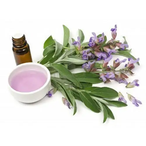 Элегантное качество по лучшей цене, чистое и натуральное эфирное масло из индийского шалфея