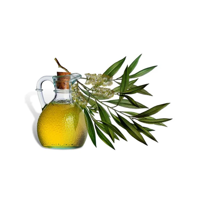 Pure Anti-Fungal Tea Tree Essential Oil helpful germ Killing Herbal Medicine at Cheap Wholesale Rate