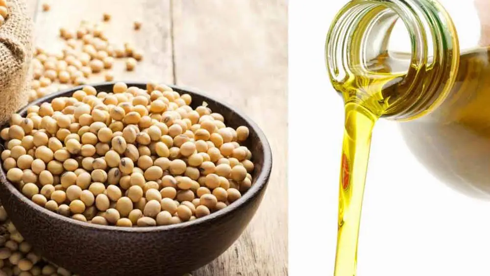 bulk soybean oil prices