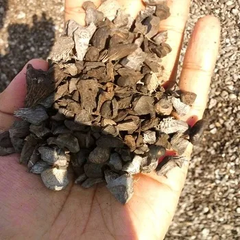 
Pure and Natural Palm Kernel Shell(PKS)/Coconut Shell/Palm Kernel 