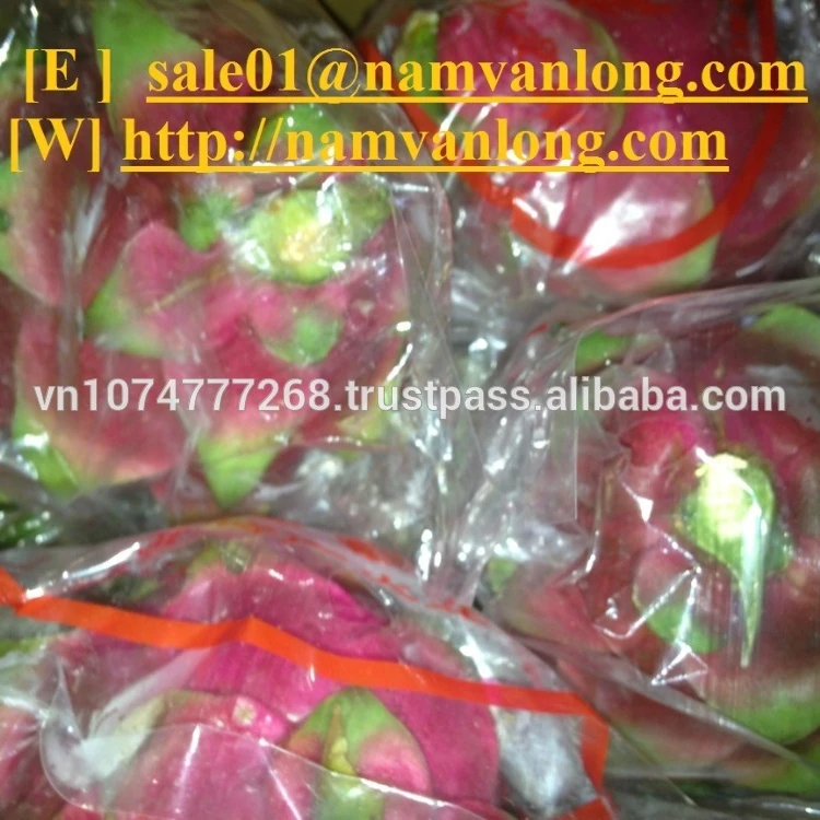 FRESH DRAGON FRUIT WITH HIGH QUALITY & THE BEST PRICE