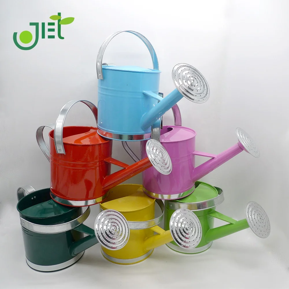 
With Galvanized handle on top and side Metal Watering can 