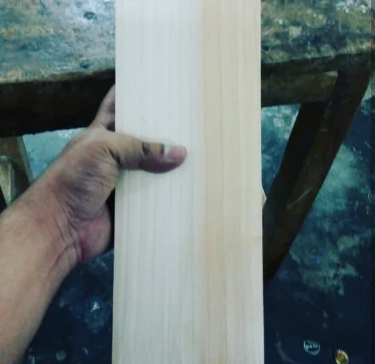 High Quality Cricket Bat