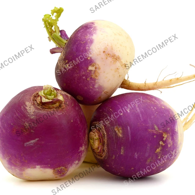 High Nutritious