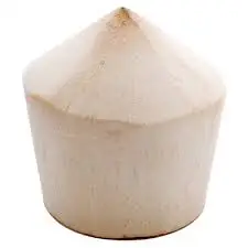 
Fresh Coconut/Easy Open Coconut with Ring Pull/Diamond Cut Coconut 