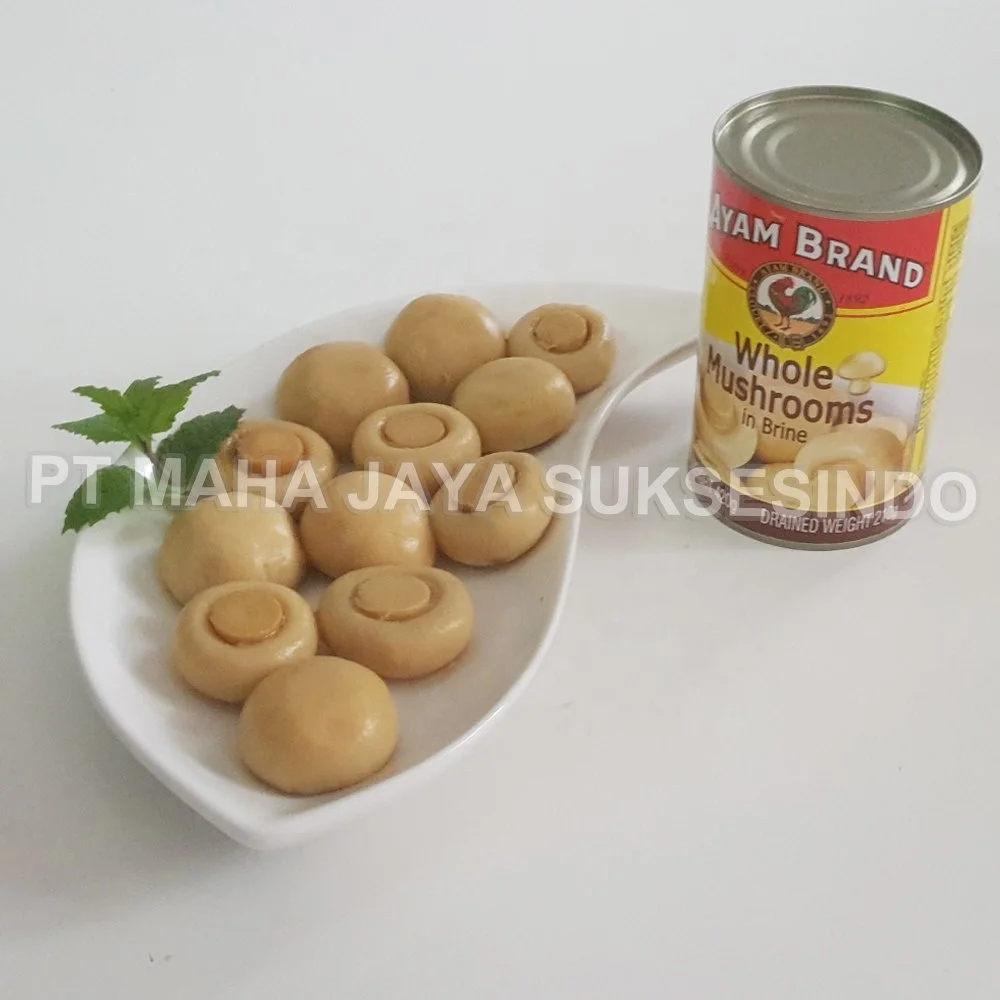 Mushrooms Bestseller ~ Mushrooms