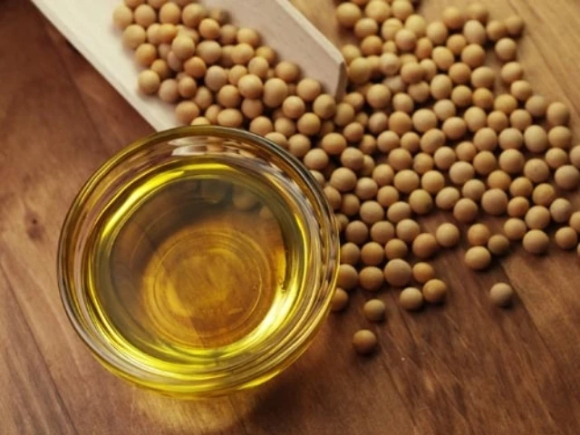 bulk soybean oil prices