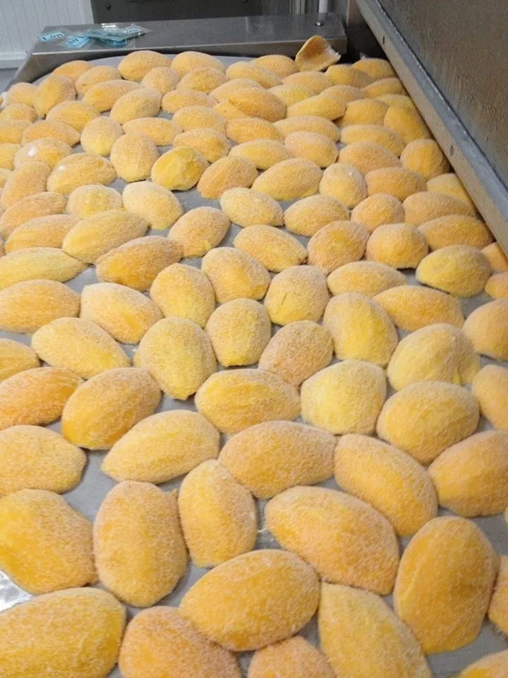 Frozen MANGO Cut Cube/ Chunk/ Dice/ Slice Product of Vietnam 2019