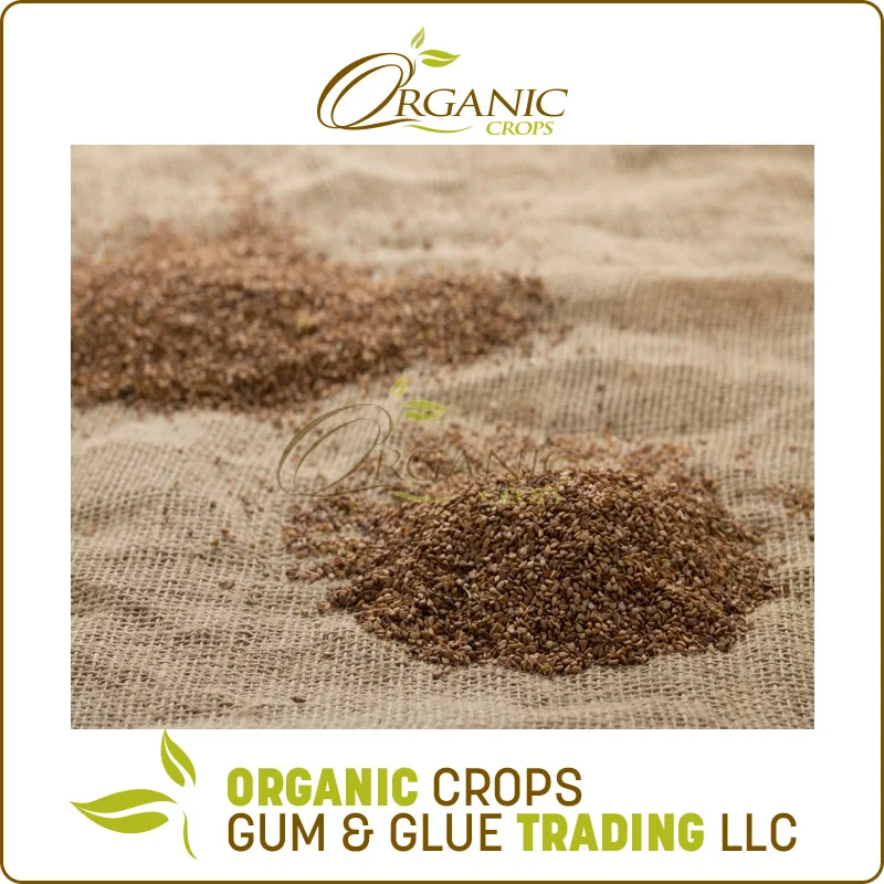 Fresh Quality Cheap Price Natural White Sesame Seed from Sudan