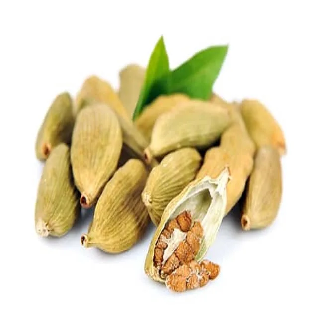 Wholesale Cardamom Oil for Perfume Making Pure Essential Oil Bulk Suppliers in India at Reasonable Prices