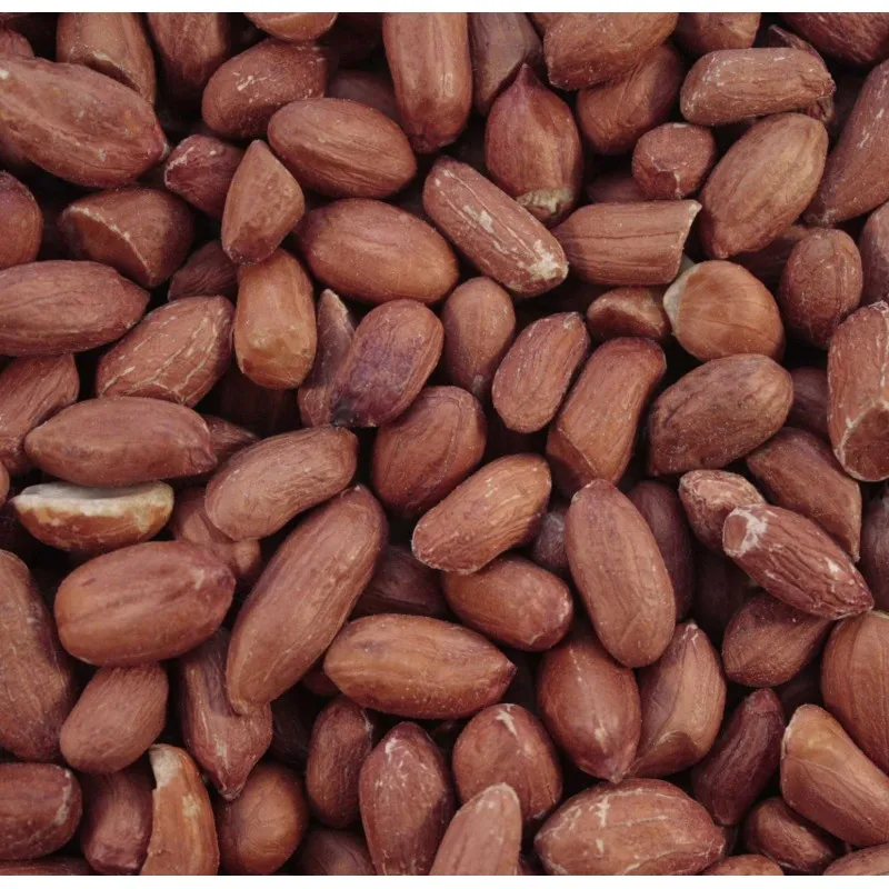 cheap High Quality Wholesale Price Peanuts Supplier for export at cheap prices