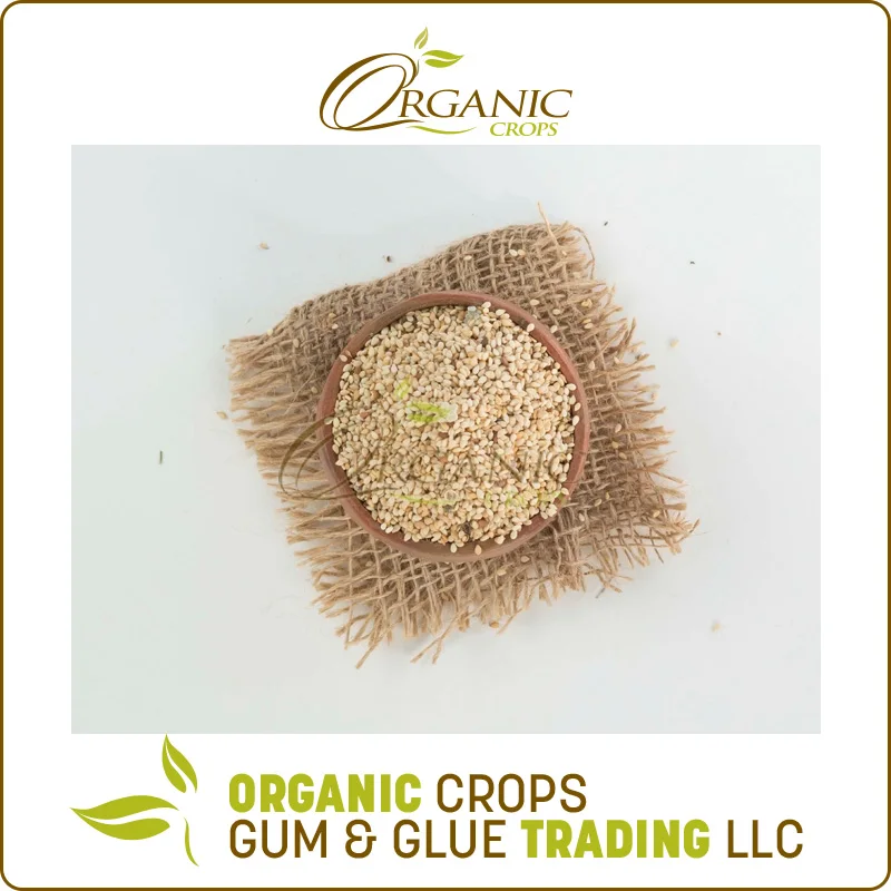 Fresh Quality Cheap Price Natural White Sesame Seed from Sudan