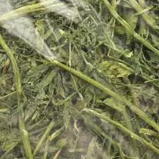 High Quality  Moisture Controlled Alfalfa Hay Small Bales for Sale in Bulk Quantity Pure Alfalfa Hay/timothy Hay