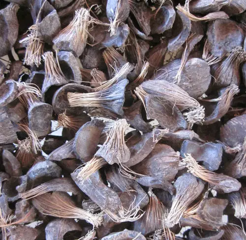 
Pure and Natural Palm Kernel Shell(PKS)/Coconut Shell/Palm Kernel 
