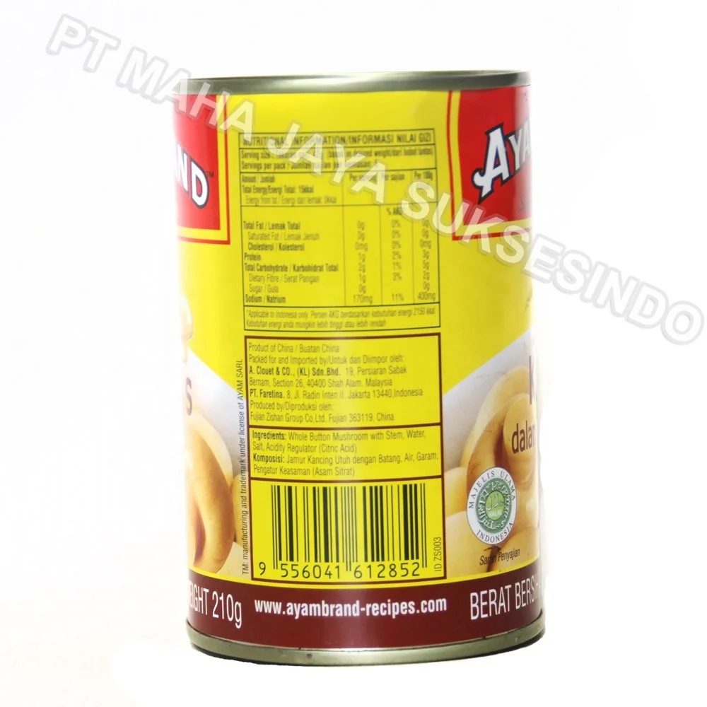 Mushrooms Bestseller ~ Mushrooms