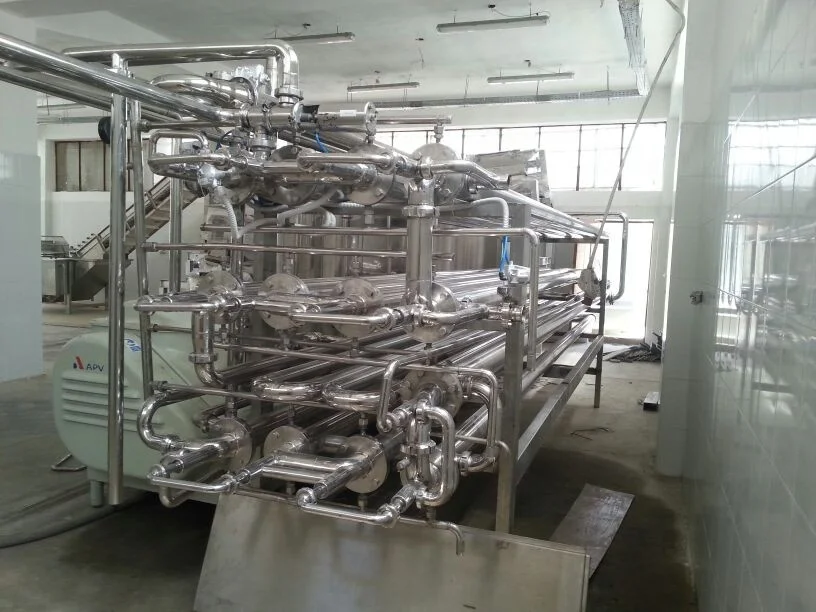 
Tomato paste concentrate pulp in bulk 