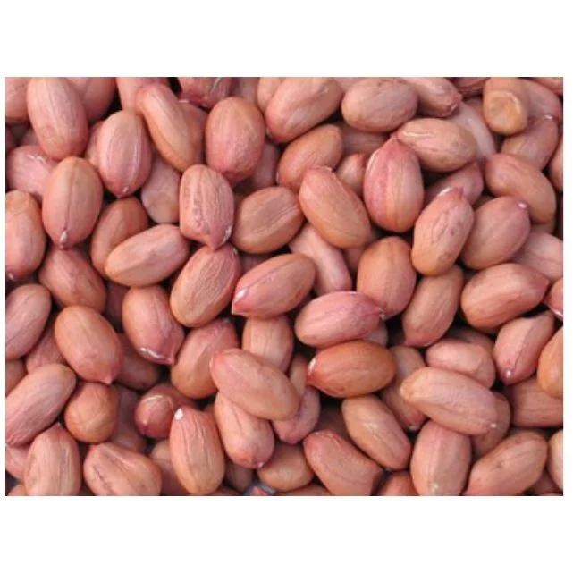 Healthy snack top grade  peanut kernels peeled peanuts nuts in bulk from INDIAN manufacturer