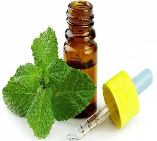 100% Fresh and Fragmented Spearmint Essential Oil