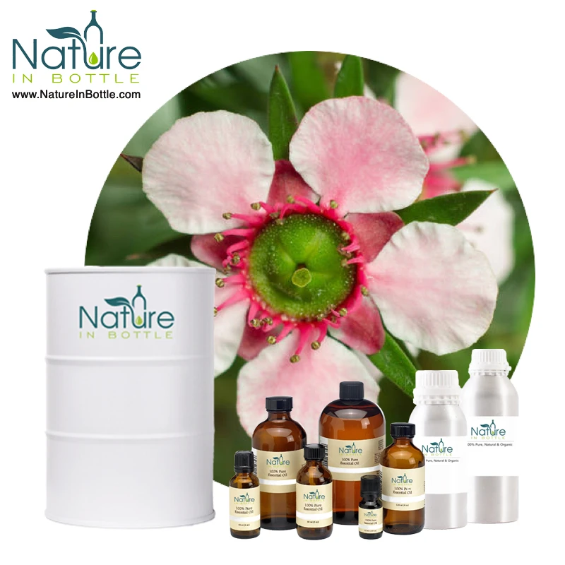 Organic Manuka Essential Oil | New Zealand Tea Tree Essential Oil - Pure and Natural Essential Oils - Wholesale Bulk Price