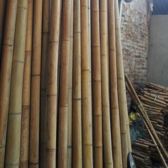 Bamboo Poles 1305