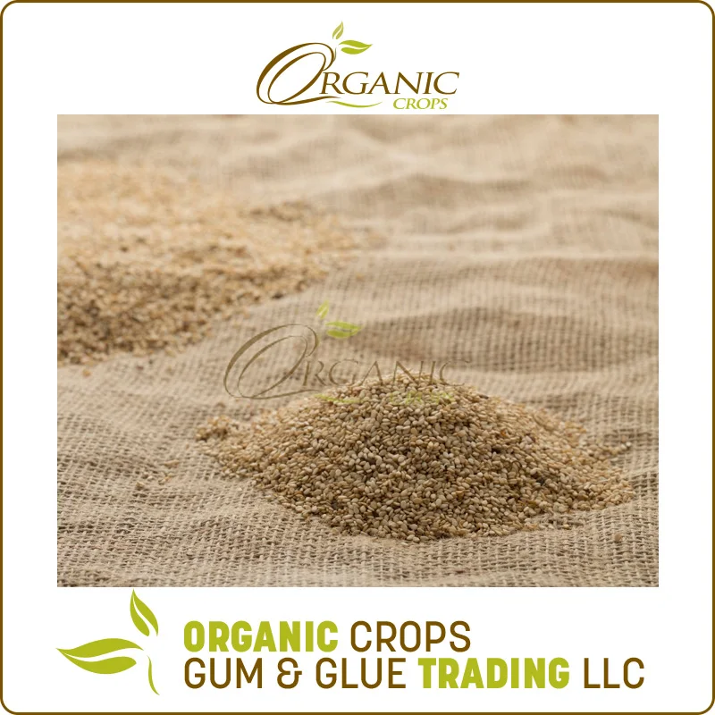 Fresh Quality Cheap Price Natural White Sesame Seed from Sudan