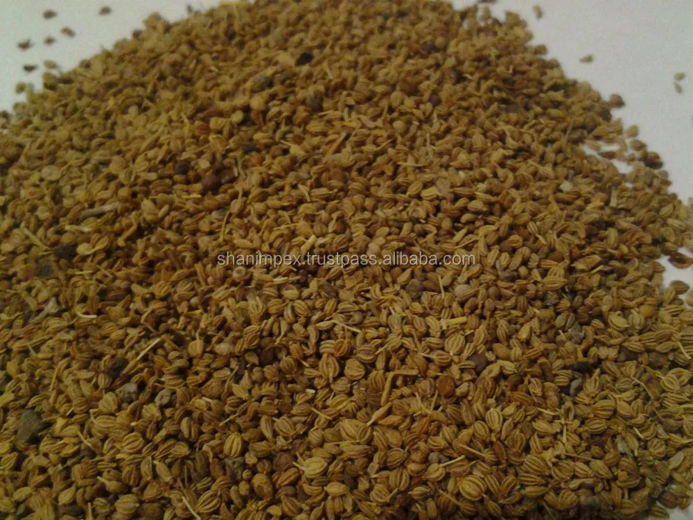 
Agro Commodities Seeds OIL SEEDS 
