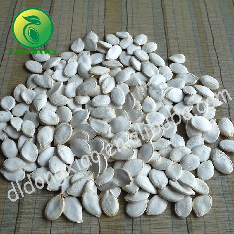 Best Raw Edible Snow White Pumpkin Seeds All Kinds Pumpkin Seeds Buyers