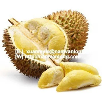 
TOP QUALITY! OFFER FRESH RI6 DURIAN FRUIT WITH HIGH QUALITY AND BEST PRICE 