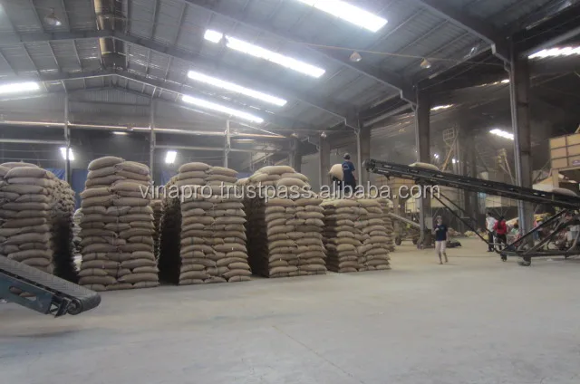 Green Coffee Beans made in Vietnam, Organic Coffee Bean best price best quality