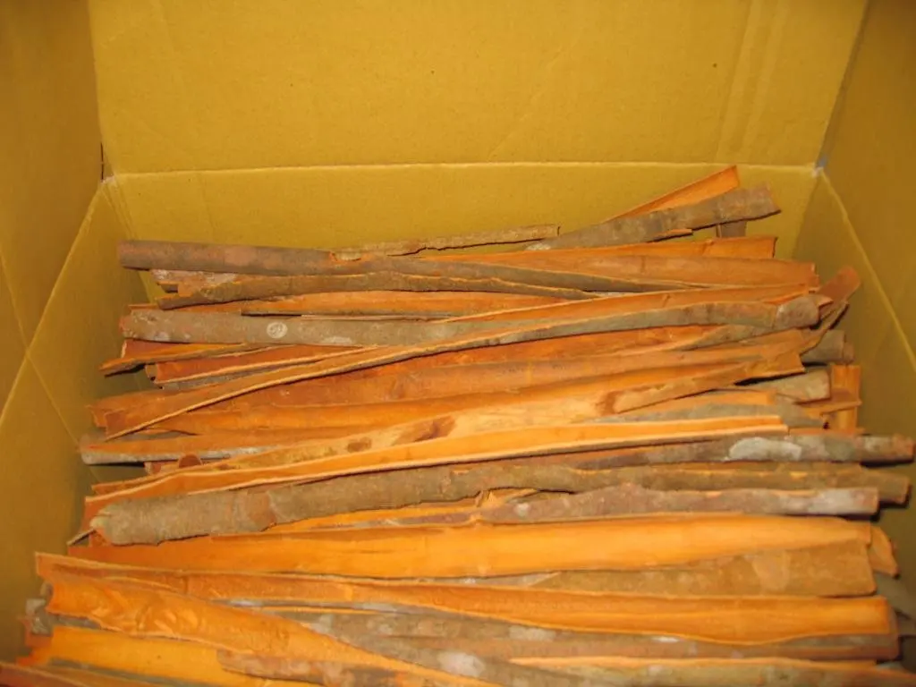 Разделенная Корица/разделенная корица очень высокое качество из Вьетнама Лучшая цена для продажи (Whatsapp мощность: + 84397766566)