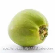 Порошок кокосовой воды, сушеный спреем, порошок кокосовой воды мгновенного действия