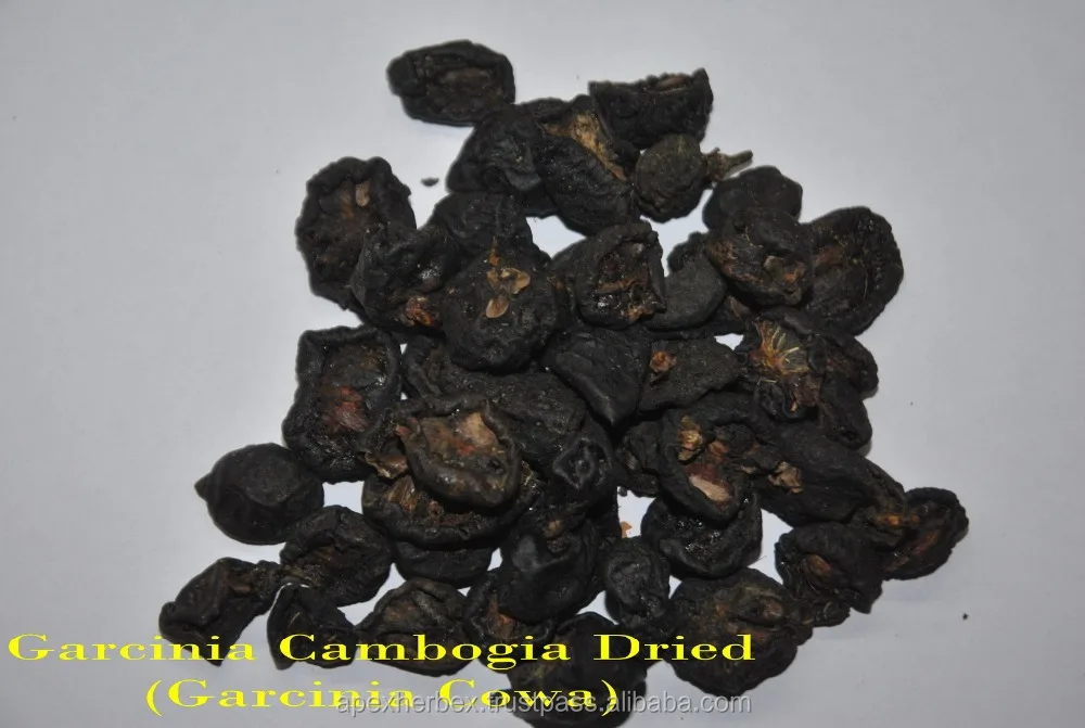 Garcinia Cambogia.Extract 40 Garcinia gummi-gutta fruit T Cut