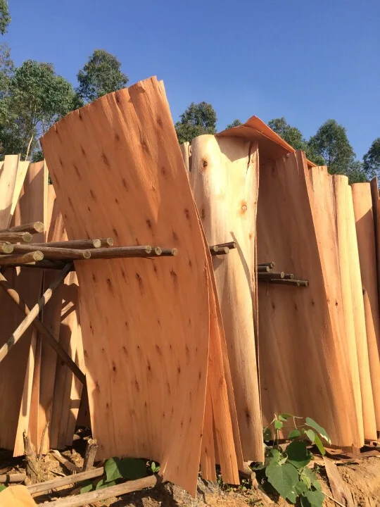 
Eucalyptus Core veneer 1270*640mm 1.7mm with good price 