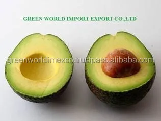 PREMIUM QUALITY OF AVOCADO - GOOD PRICE FROM VIETNAM
