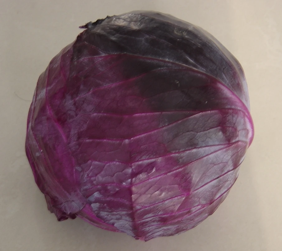 
fresh red cabbage 