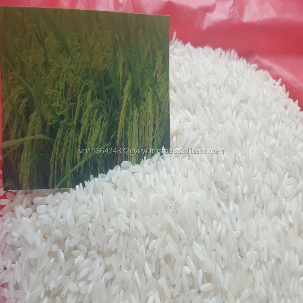 VIETNAM 5% BROKEN WHITE RICE