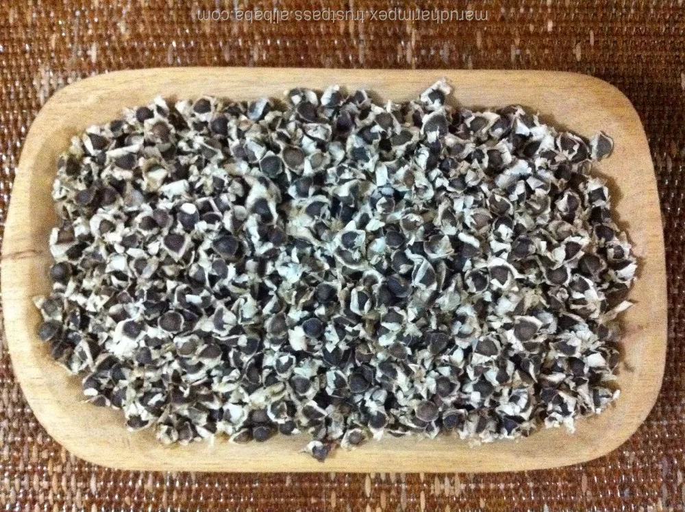MORINGA SEEDS / SEEDS