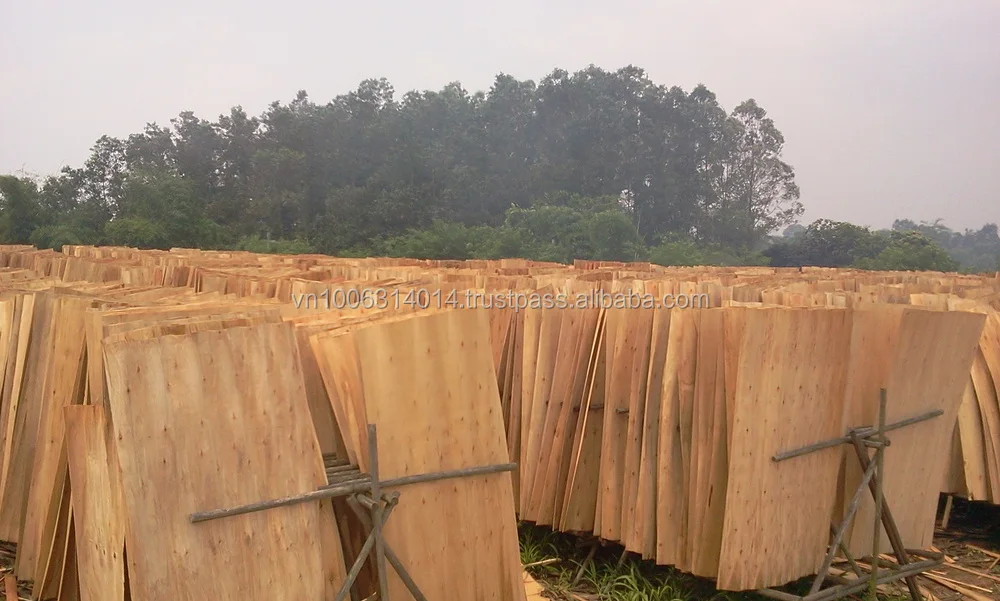 Rotary cut Eucalyptus veneer 100%A grade export to Philippines market