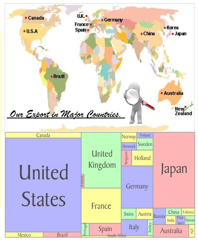 Wholesale Supplier of Best Quality Pure Natural Basil Essential Oil for Sale