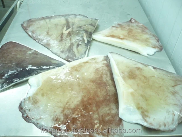 Best Quality No Preservatives 24 months Shelf Life Frozen Calamari Giant Squid Wing Seafood Exporter