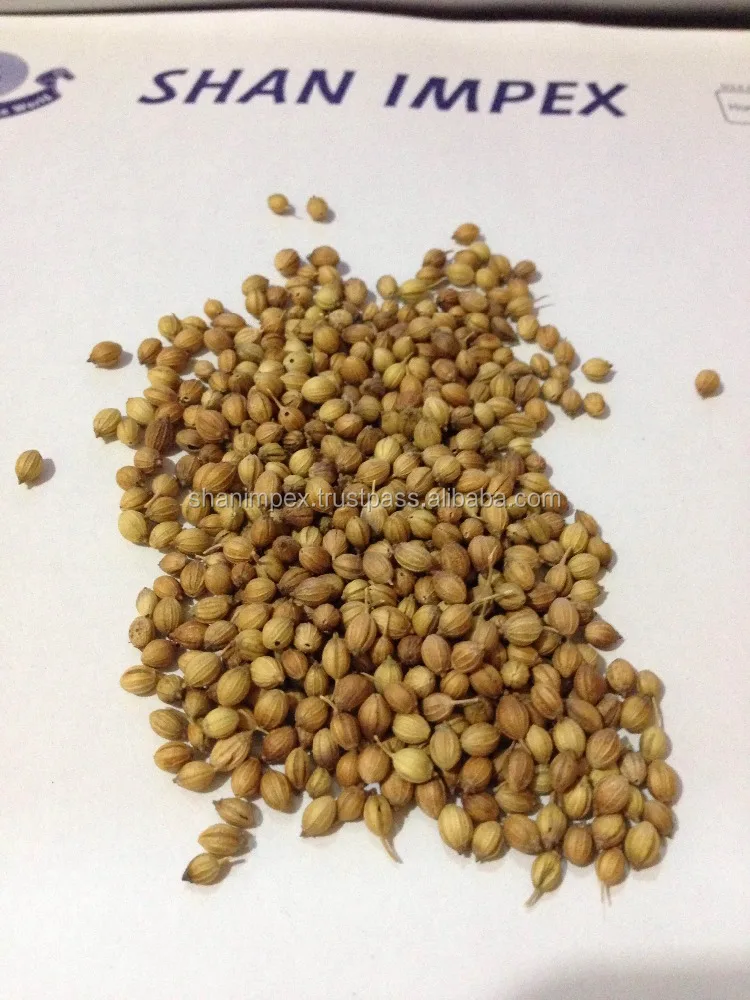 
Agro Commodities Seeds OIL SEEDS 