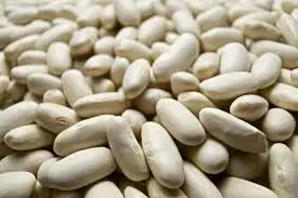 Great Northern Beans