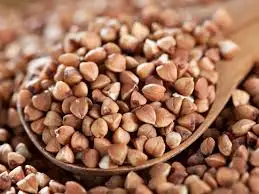 
Natural Roasted Buckwheat For Sell 
