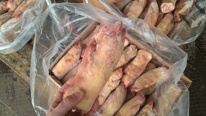 
100% Top Quality Frozen Pork Front Feet 