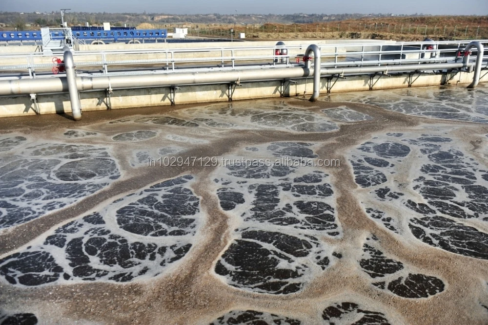  Удаление фекальных колиформ на очистительном заводе