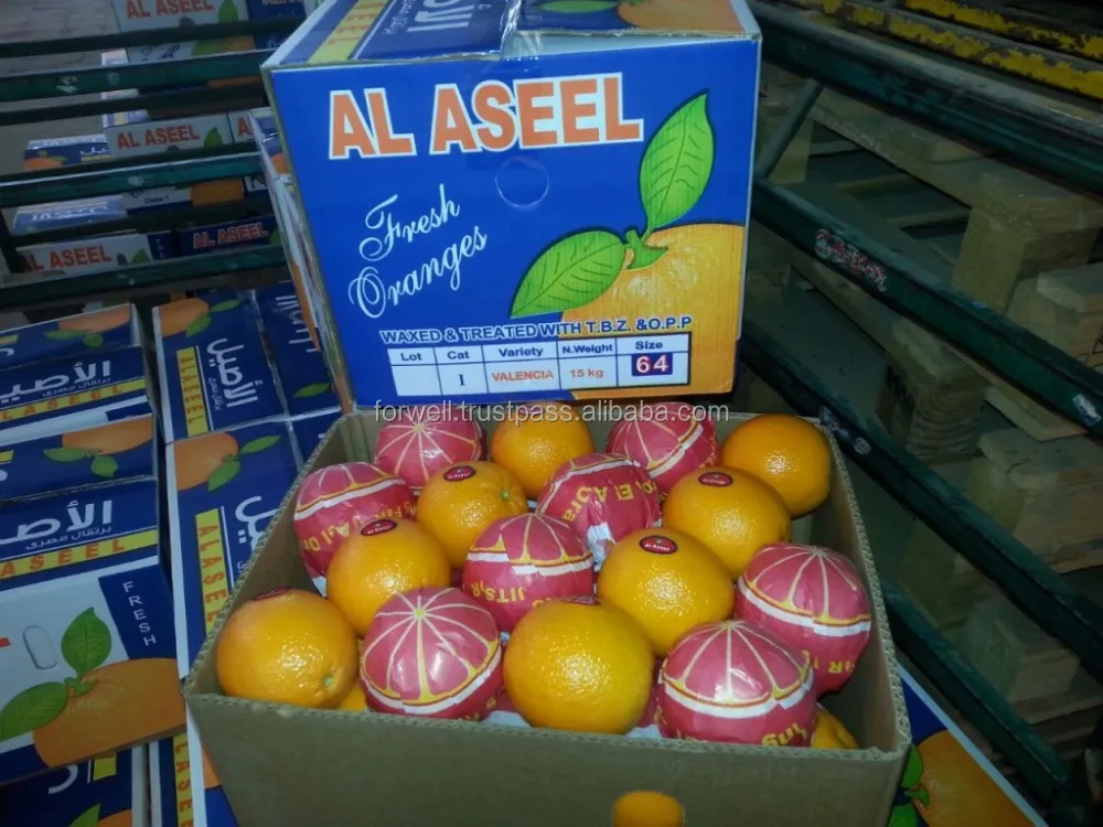 big size orange with high quality and good price with different package