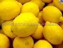 Fresh lemon Adalia