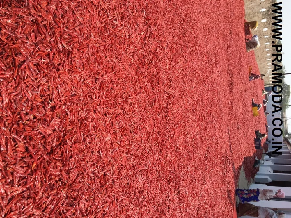 Factory Supply Natural Organic Vietnam Red Chilli in Market Price Best Exporter from India