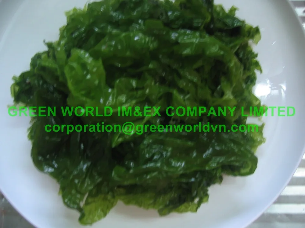 Ulva Lactuca seaweed with premium quality//best price